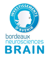 bordeaux neurosciences BRAIN