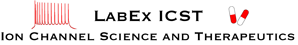 Labex ICST