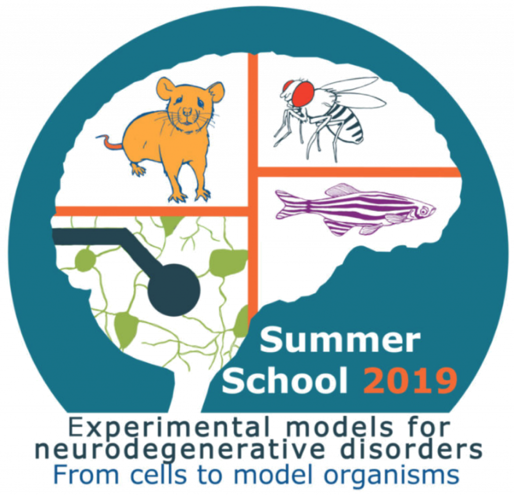 Société des Neurosciences • LiCEND Summer School 2019 Experimental
