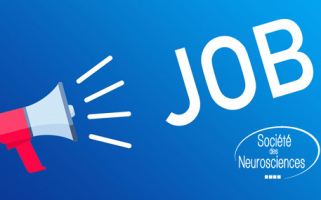 La Société recrute
