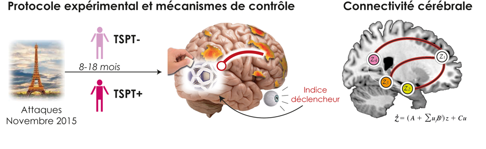 Nouvelles pistes pour comprendre la résilience au trauma