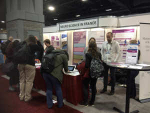 Stand SfN2018