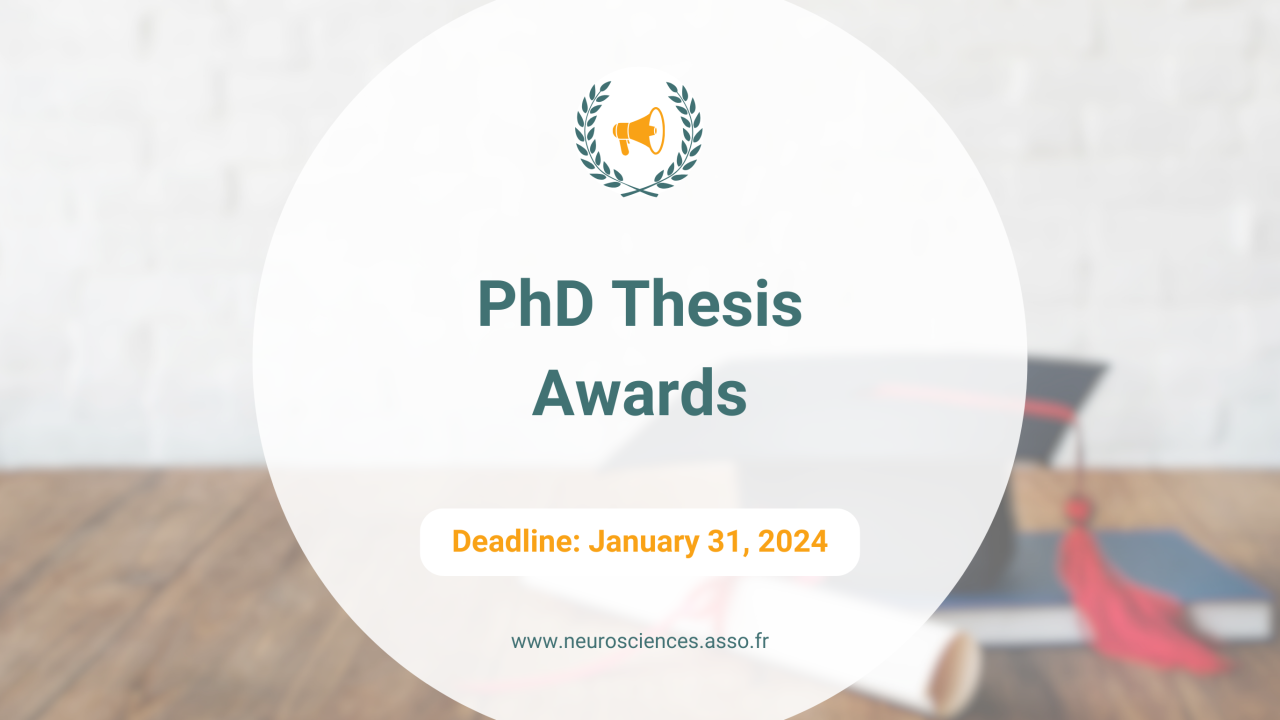 PhD Thesis Awards