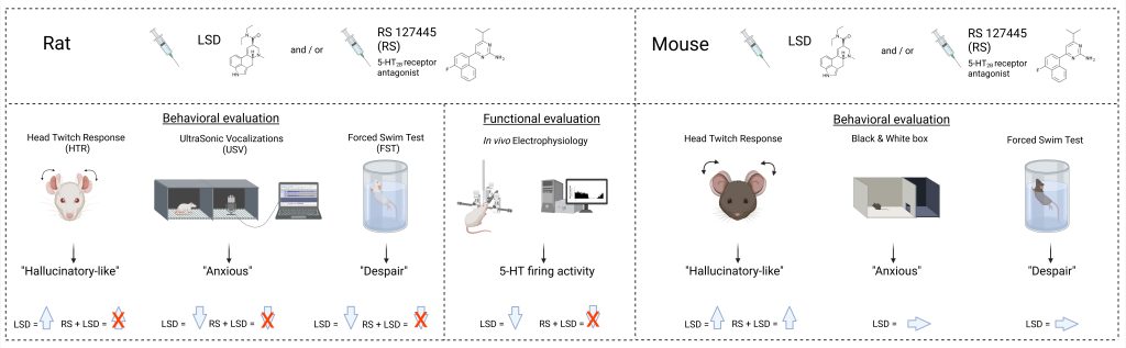 Research study
