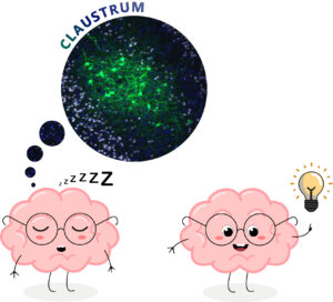 IllustrationPhD
